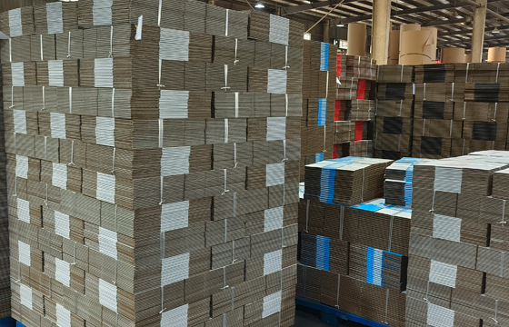 CORRUGATED CARTON SAMPLE
