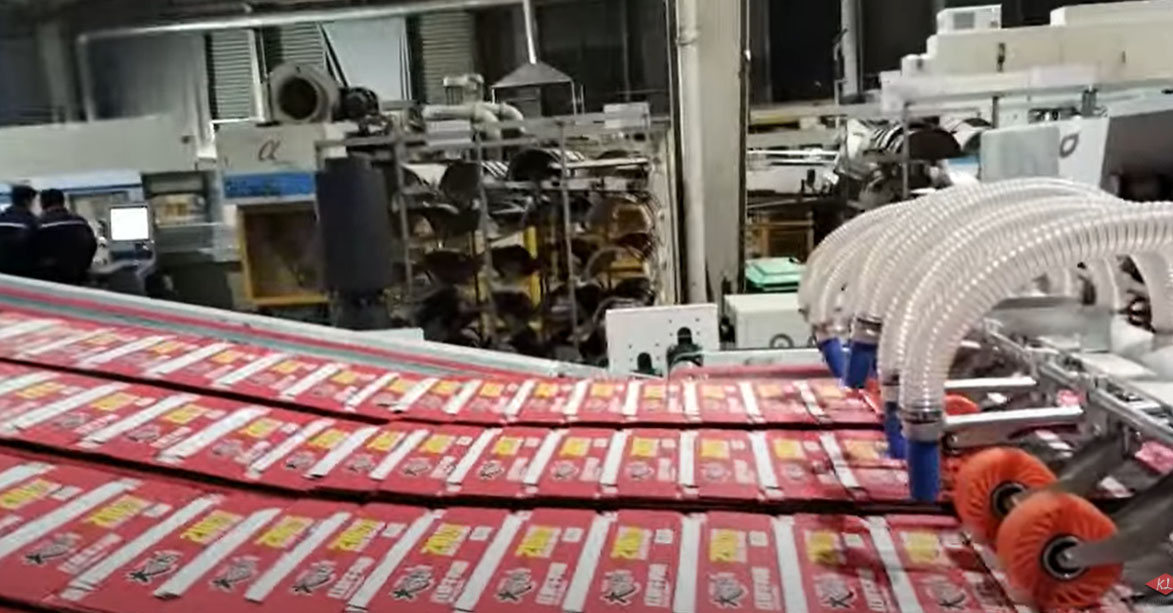 Production of Noodles Boxes
